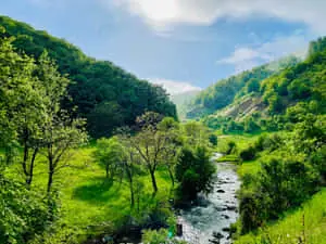 a river runs through a lush green valley
