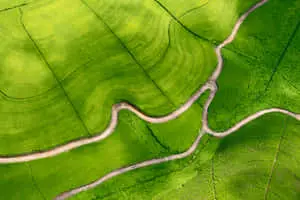 a green field with a winding road