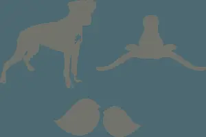 Greyhoundand Banana Silhouettes
