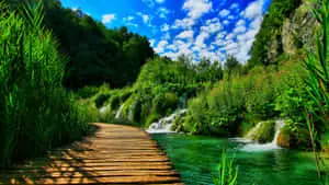 a wooden walkway leading to a waterfall
