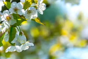 Enjoy the Beauty of Nature