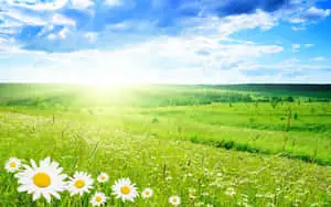 A view of nature’s beauty in its fullest form 