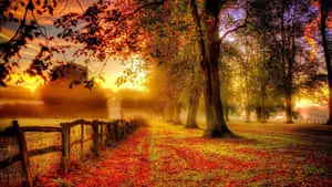 Enjoy the serene beauty of nature
