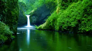 Enjoy the sun and beauty of nature.