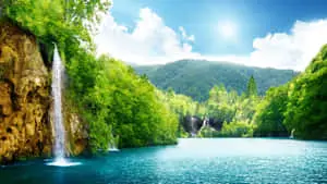 a waterfall in the middle of a green forest