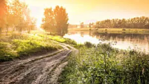 A Path Paved with Beautiful Nature.