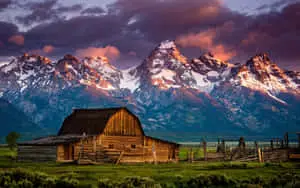 Embrace the beauty of nature!