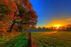 Hd Nature Background