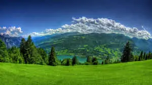 a green field with mountains and a lake