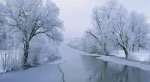 Calm Frozen Lake White HD Winter Background