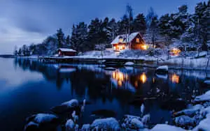 Serene and Cold - An HD Winter Background