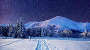 Majestic Winter Wonderland