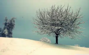 HD Winter Background Vintage Landscape