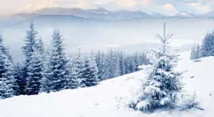 HD Winter Background White Scenery
