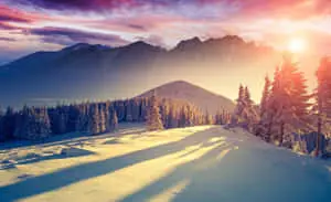 HD Winter Background Sunset Shadows Landscape