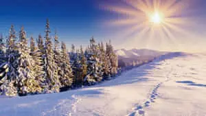 HD Winter Background Snow Hill With Feet Track