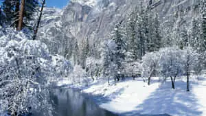 HD Winter Background White Mountain Creek