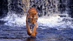 Enjoy the beautiful colors of nature with this high resolution picture