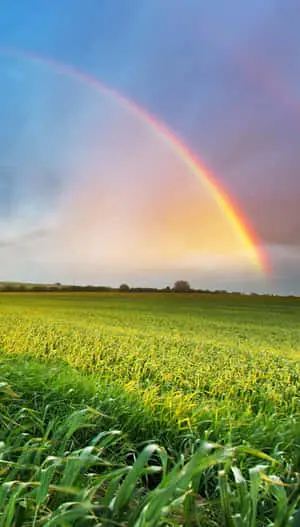 Enchanting Nature's Beauty on Your Home Screen
