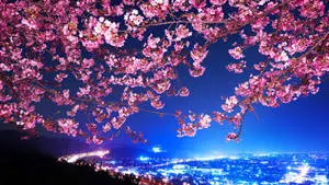 Japanese Aesthetic Landscape With Cherry Blossoms