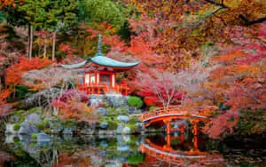 Beauty of the Japanese Landscape.