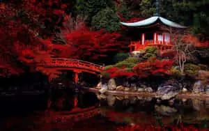 Japanese Red Pagoda By The Water Desktop