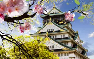 Japanese Castle Desktop
