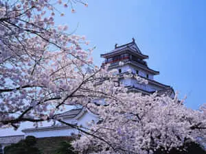 Japanese Castle In Winter For Desktop