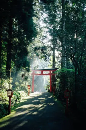 Japanese HD Torii Gate On A Sunny Day