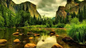 Lake Rocks Natural Background
