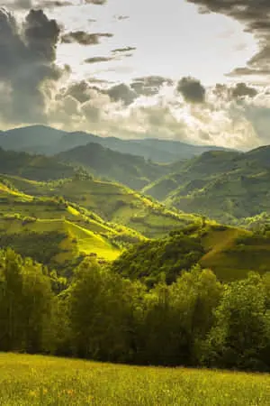 Calming Land Picture