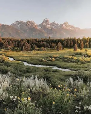 Pleasant Land Picture