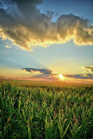 Lovely Land Picture
