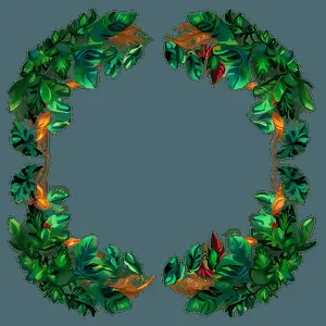 Leaf Border Clipart PNG 40