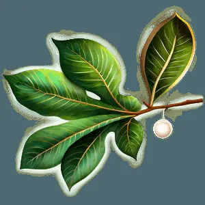 Leaf Icon Clipart PNG egl4