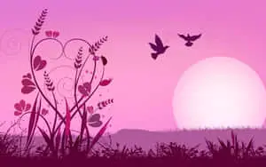 Enchanting Birds Silhouette Love Background
