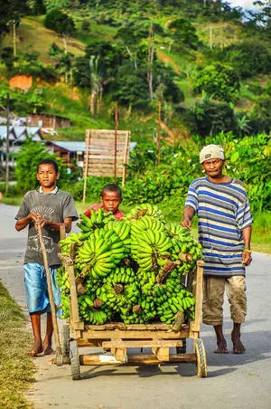  Madadascar Banana Vendor