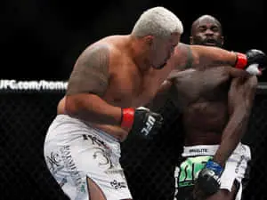 Mark Hunt Upper Cut Punch