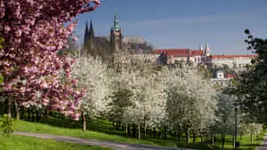 Mesmerizing View Of Prague Castle