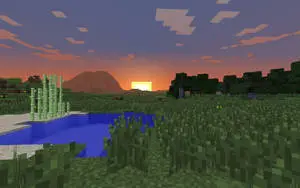 Minecraft Aesthetic Grass And Pool