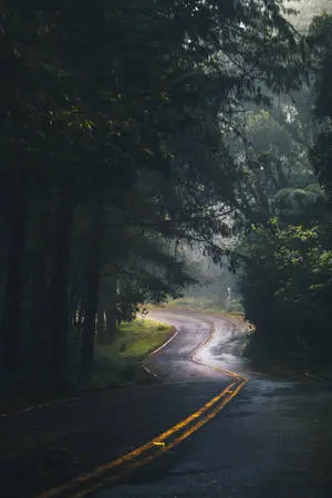 Mobile 4k Nature Road