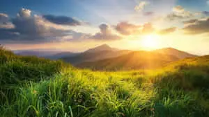 Beautiful Morning Pictures