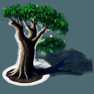 Morning Tree Shadow PNG 55