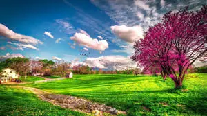 Most Beautiful Spring Landscape