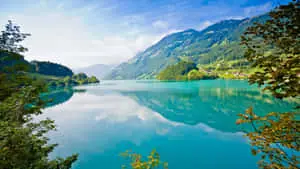 Nature at its Most Beautiful