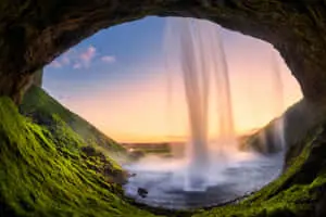 Beauty of the Natural World