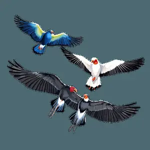 Nature Birds Flock PNG 47