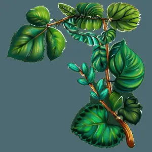 Nature Border Clipart PNG 06252024
