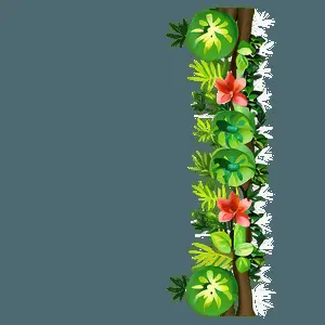 Nature Border Clipart PNG 99