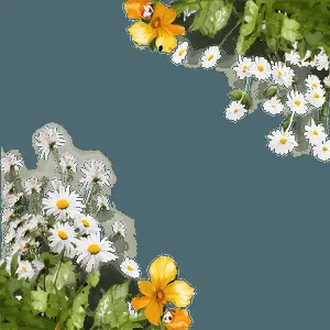 Nature Borders PNG 43